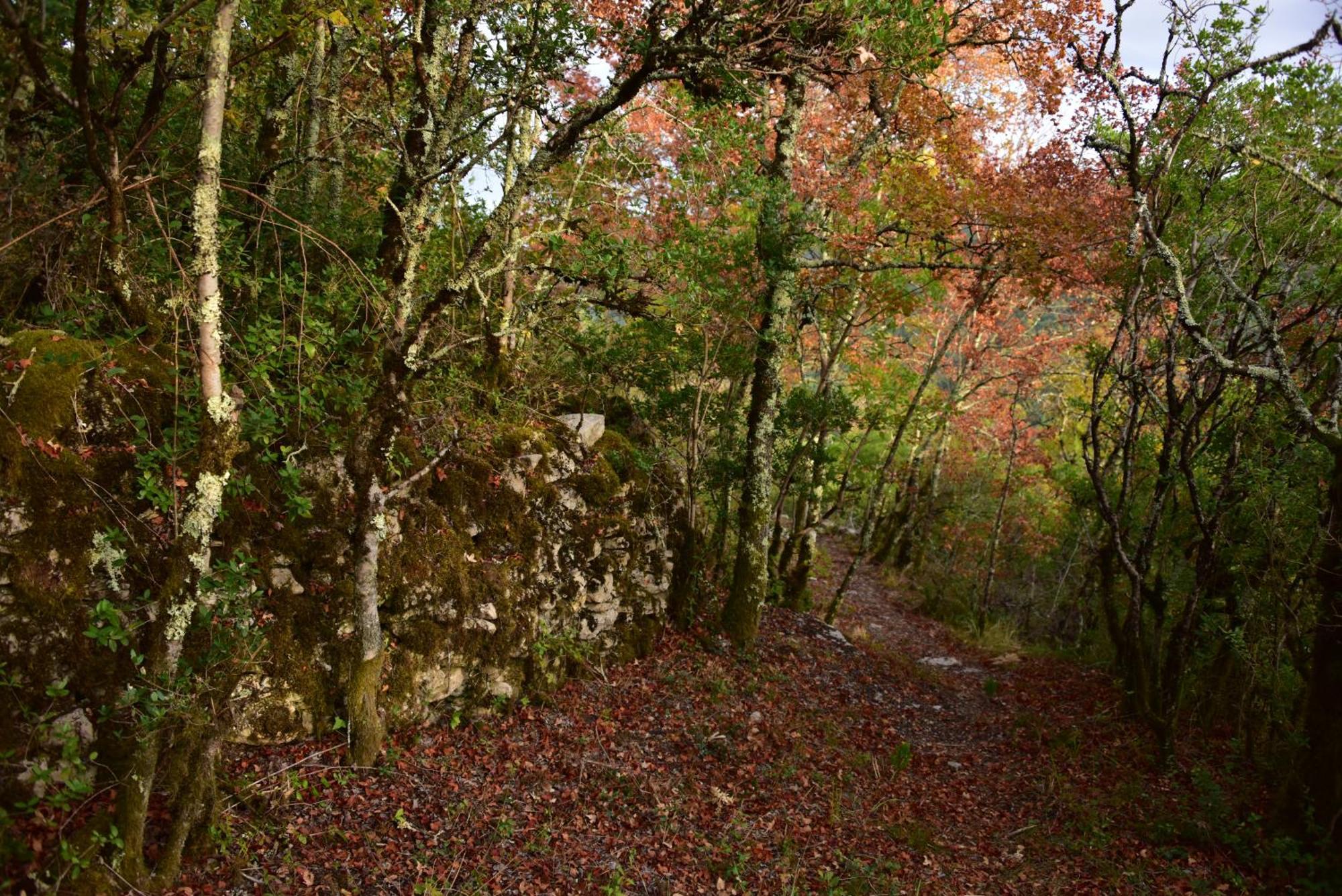 Rataboul Villa Puylaroque Kültér fotó